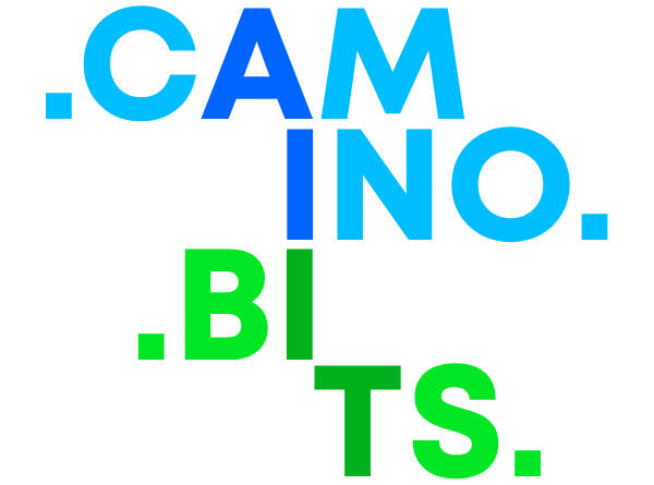 Caminobits | Salesforce Architect | Boris B Herrera